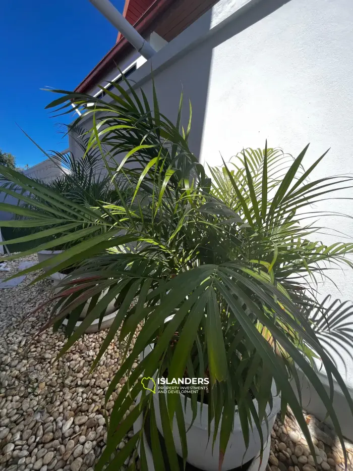 2 bedroom pool villa with a picturesque view