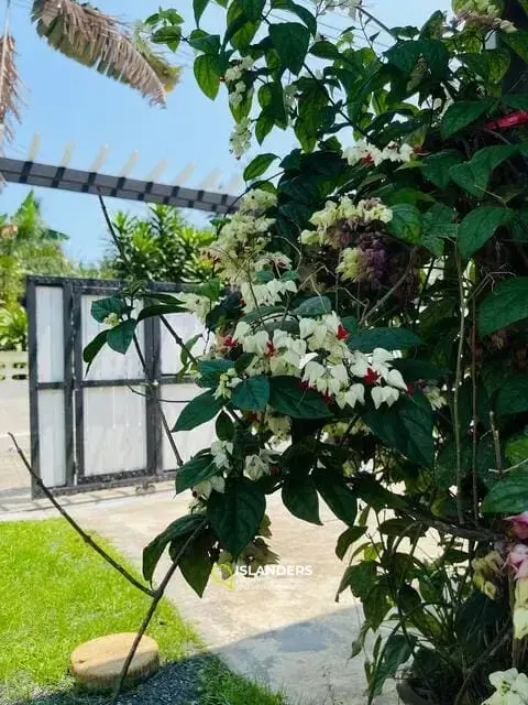 Villa élégante de 4 chambres dans un excellent emplacement