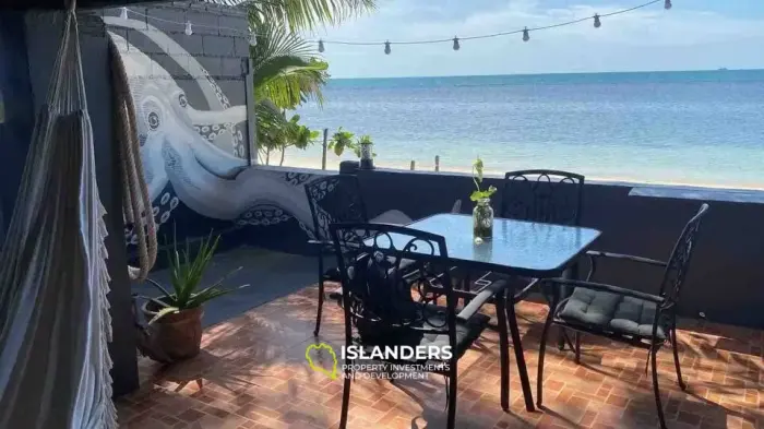 Beach villa 2 bedrooms - only for animal lovers