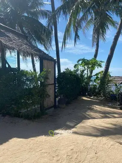 Beach villa 2 bedrooms - only for animal lovers