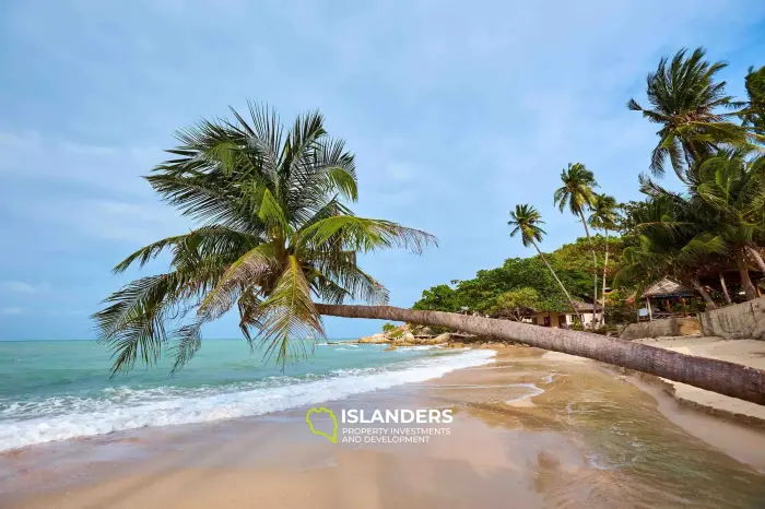 Magnificent 3 bedroom villa near one of the best beaches on the island