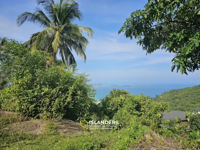 Terrain avec vue sur la mer Chaweng noi 1463 m2 12 millions La réglementation de construction est de 6 mètres de hauteur