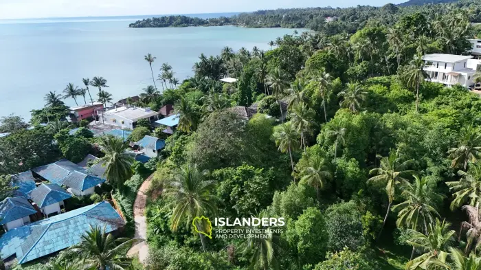 Land with Stunning Sea View on the Sunset Side Hinkong
