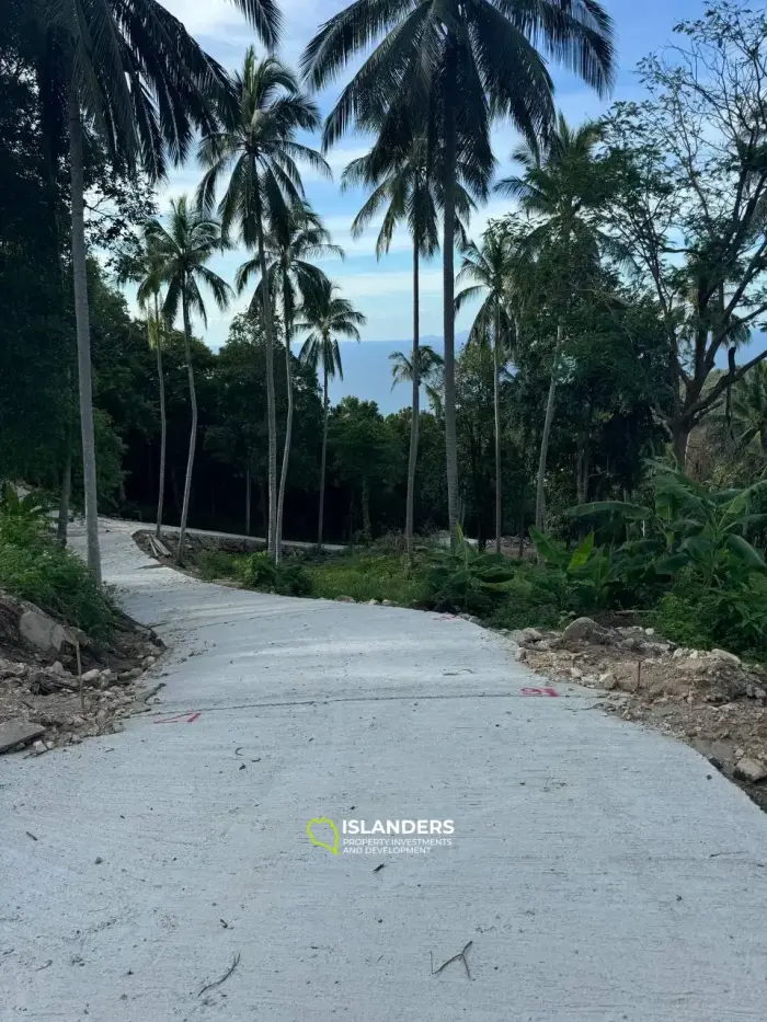 道路と電気を備えた、ハードサラダの最高の海の景色が見える土地!