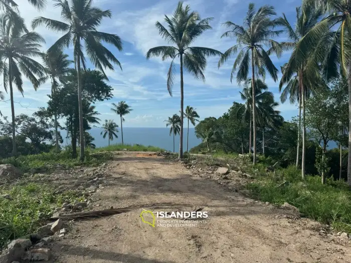 道路と電気を備えた、ハードサラダの最高の海の景色が見える土地!