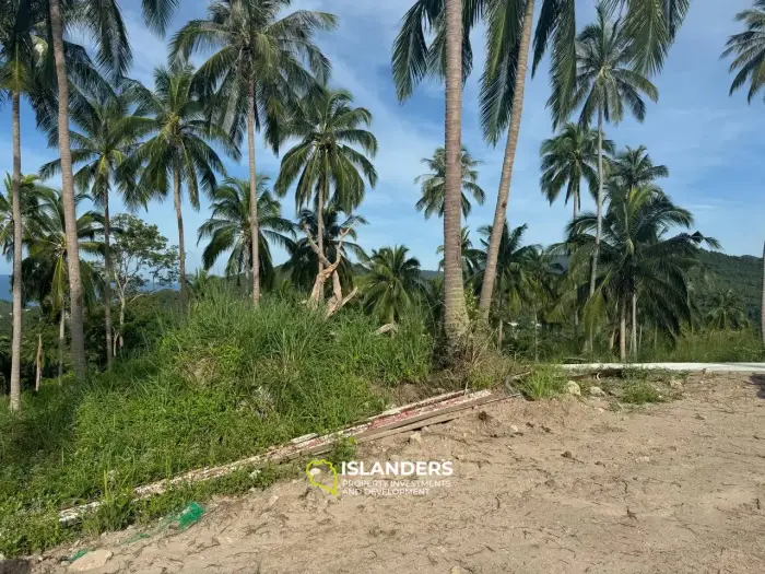 道路と電気を備えた、ハードサラダの最高の海の景色が見える土地!