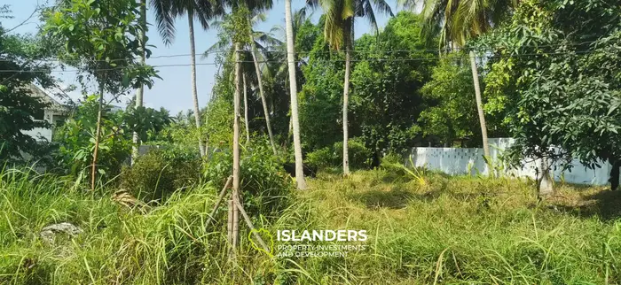 Great location! Flat land in Hinkong 