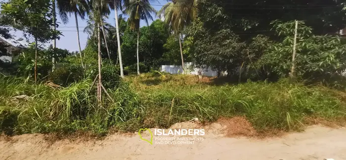 Great location! Flat land in Hinkong 