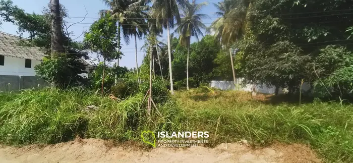 Great location! Flat land in Hinkong 