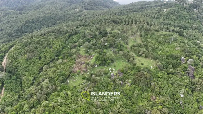 Atemberaubendes 25 Rai-Grundstück zum Verkauf in Than Sadet, Koh Phangan – Atemberaubender 270°-Meerblick 🌄