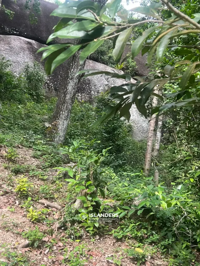Atemberaubendes 25 Rai-Grundstück zum Verkauf in Than Sadet, Koh Phangan – Atemberaubender 270°-Meerblick 🌄