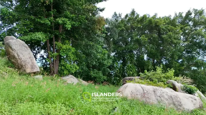 Atemberaubendes 25 Rai-Grundstück zum Verkauf in Than Sadet, Koh Phangan – Atemberaubender 270°-Meerblick 🌄
