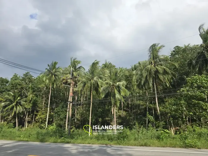  Terreno con vista al mar en venta en Chaloklum, Koh Phangan
