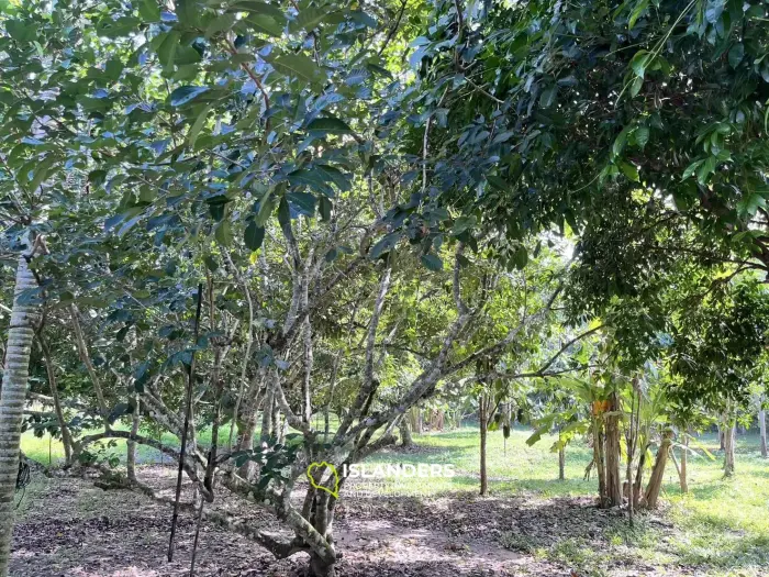 מגרש לבנייה עם גינה גדולה