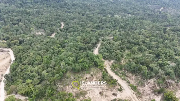 🌴 Prime Land for Sale in Chalok Baan Kao, Koh Phangan 🌅
