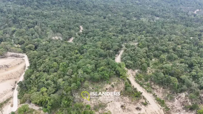 🌴 Prime Land for Sale in Chalok Baan Kao, Koh Phangan 🌅