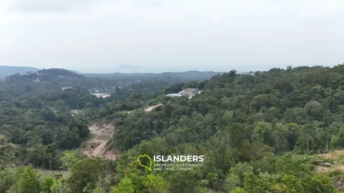 🌴 Prime Land for Sale in Chalok Baan Kao, Koh Phangan 🌅