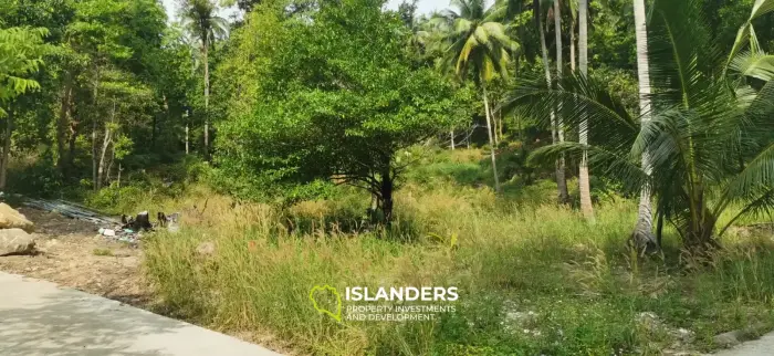 Stunning Jungle Land of 2 RAI