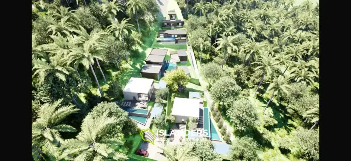Stunning Jungle Land of 2 RAI
