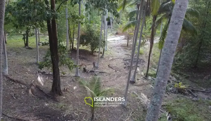 Stunning Jungle Land of 2 RAI