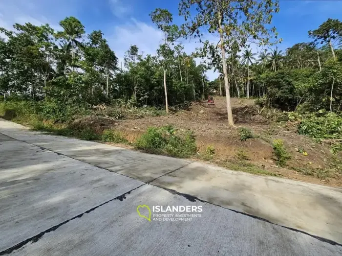 Nice sea view & sunset view plot for sale: Angthong 6 million 