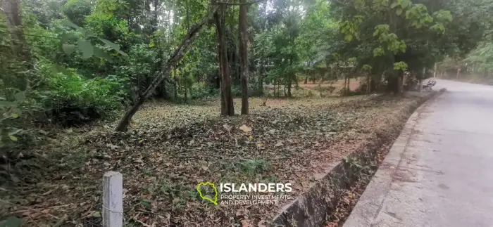Small plot by the river 