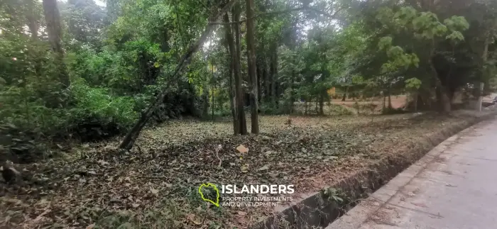 Small plot by the river 