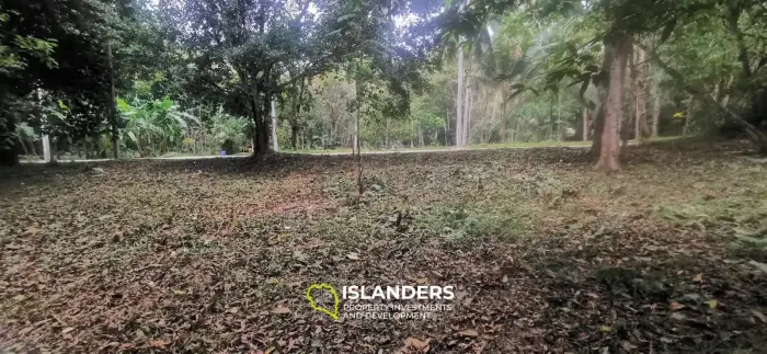 Small plot by the river 