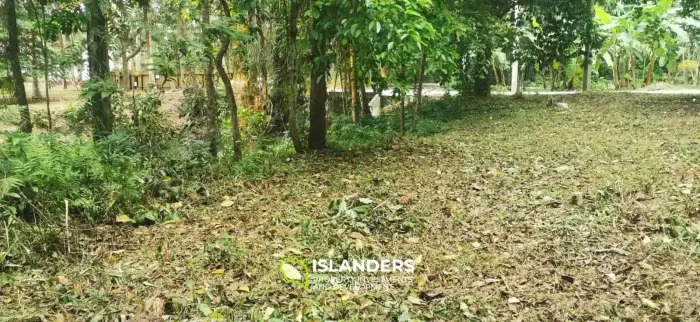 Small plot by the river 