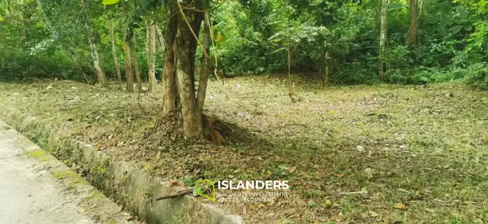 Small plot by the river 