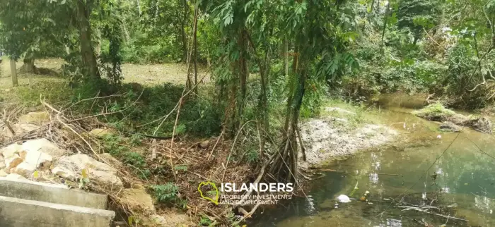 Small plot by the river 