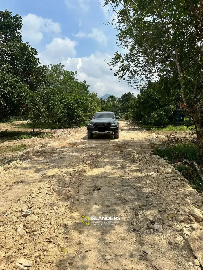 Hinkong 🏝️ Terrain plat de premier choix à vendre – Meilleur prix du secteur ! 🏝️