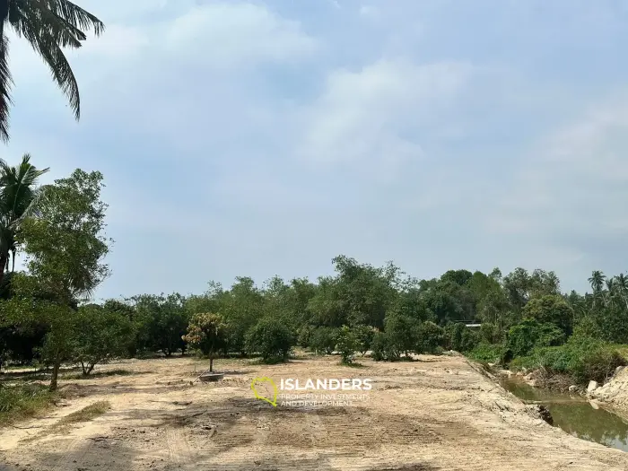 Hinkong 🏝️ Terrain plat de premier choix à vendre – Meilleur prix du secteur ! 🏝️