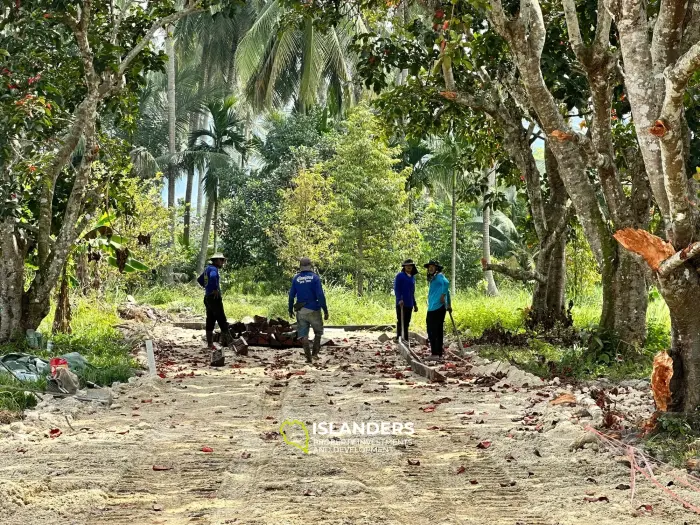 Hinkong 🏝️ Terrain plat de premier choix à vendre – Meilleur prix du secteur ! 🏝️