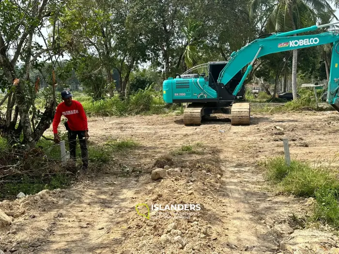 Hinkong 🏝️ Terrain plat de premier choix à vendre – Meilleur prix du secteur ! 🏝️