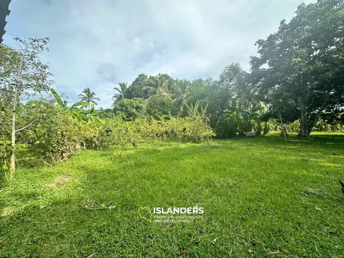 Hinkong 🏝️ Terrain plat de premier choix à vendre – Meilleur prix du secteur ! 🏝️