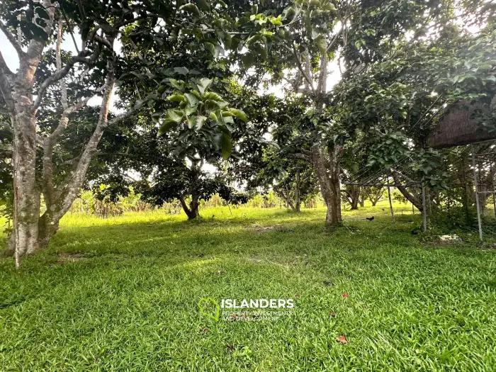 Hinkong 🏝️ Terrain plat de premier choix à vendre – Meilleur prix du secteur ! 🏝️
