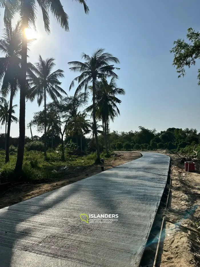 Hinkong 🏝️ Terrain plat de premier choix à vendre – Meilleur prix du secteur ! 🏝️