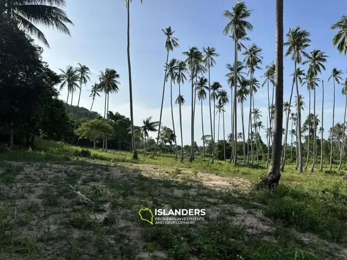 Land for Sale in Maenam, Koh Samui – Surrounded by Nature 2 Rai,  just 4,5M per Rai