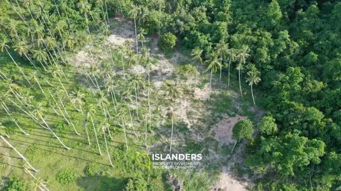 Land for Sale in Maenam, Koh Samui – Surrounded by Nature 2 Rai,  just 4,5M per Rai