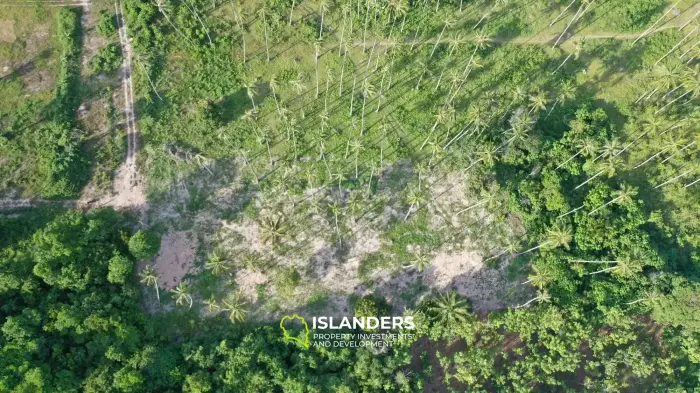 Land for Sale in Maenam, Koh Samui – Surrounded by Nature 2 Rai,  just 4,5M per Rai