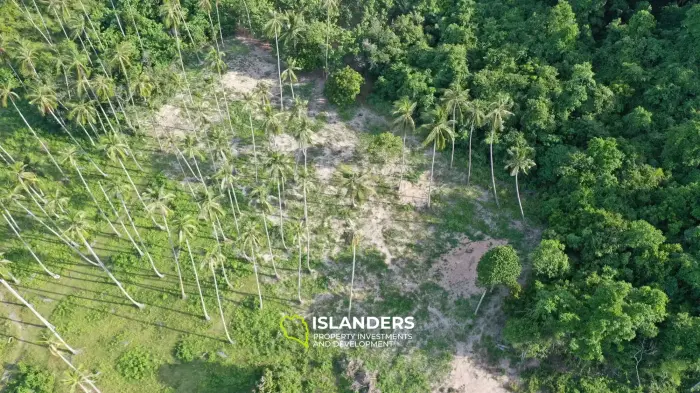 Land for Sale in Maenam, Koh Samui – Surrounded by Nature 2 Rai,  just 4,5M per Rai