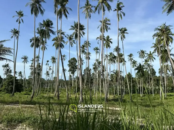 Land for Sale in Maenam, Koh Samui – Surrounded by Nature 2 Rai,  just 4,5M per Rai
