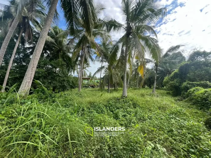ที่ดินกว้างขวางใจกลางเกาะพะงัน – ทำเลทองสำหรับการพัฒนา