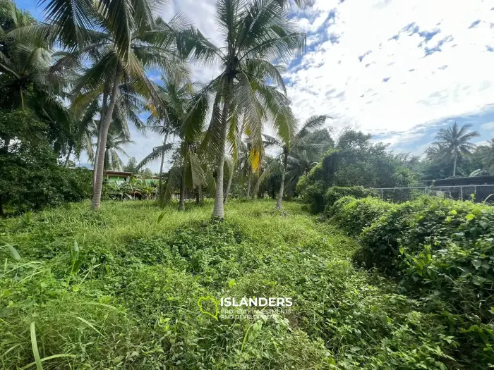 ที่ดินกว้างขวางใจกลางเกาะพะงัน – ทำเลทองสำหรับการพัฒนา