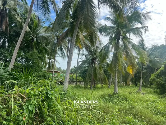 ที่ดินกว้างขวางใจกลางเกาะพะงัน – ทำเลทองสำหรับการพัฒนา
