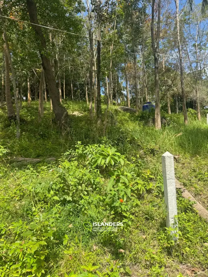 🌿 1 מגרש ראי למכירה בבאן טאי, קופנגן - נוף להרים ולים 🌿