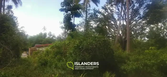 Charmant terrain de 520 m² à Coconut Lane