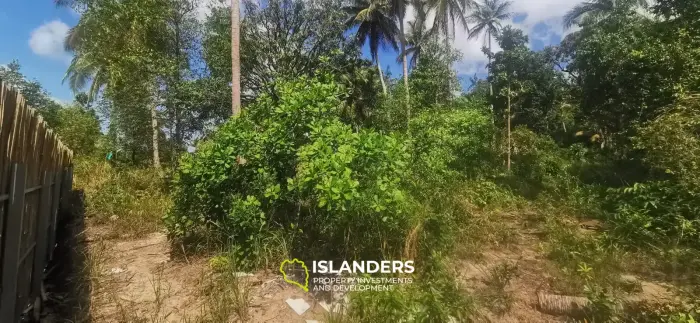 Charmant terrain de 520 m² à Coconut Lane