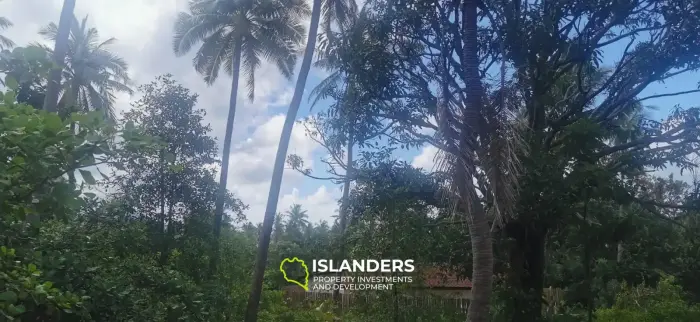 Charmant terrain de 520 m² à Coconut Lane